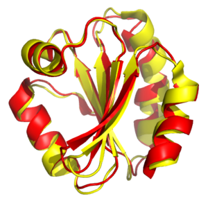Proteína plegada
